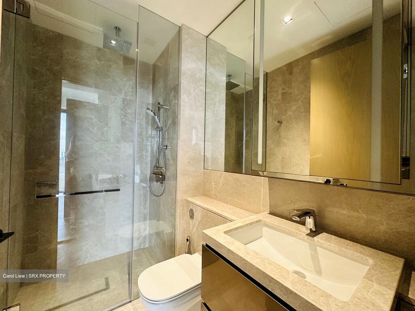 Klimt Cairnhill (D9), Apartment #498901841